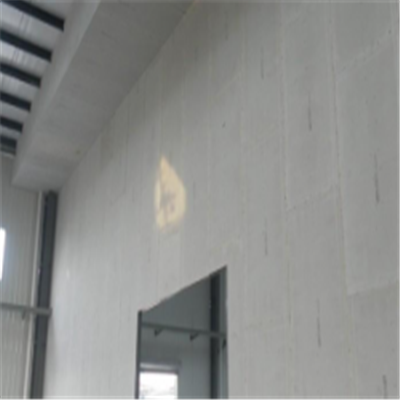 炉霍宁波ALC板|EPS加气板隔墙与混凝土整浇联接的实验研讨
